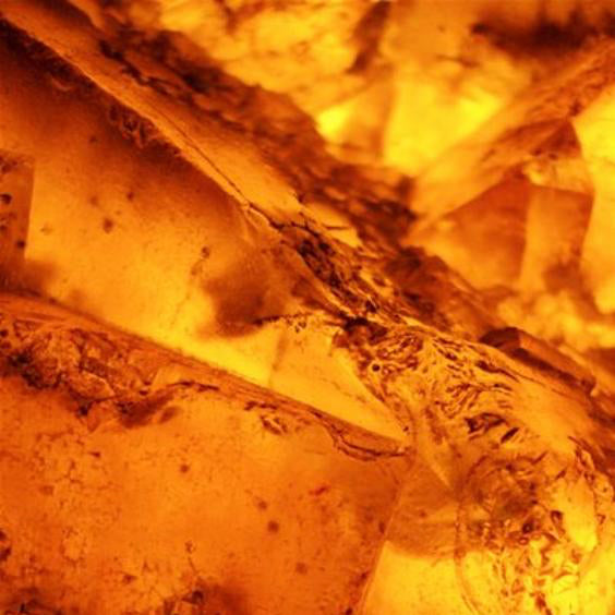 close up of the base note ingredient, amber which is used in the scented candle LOBBY candle