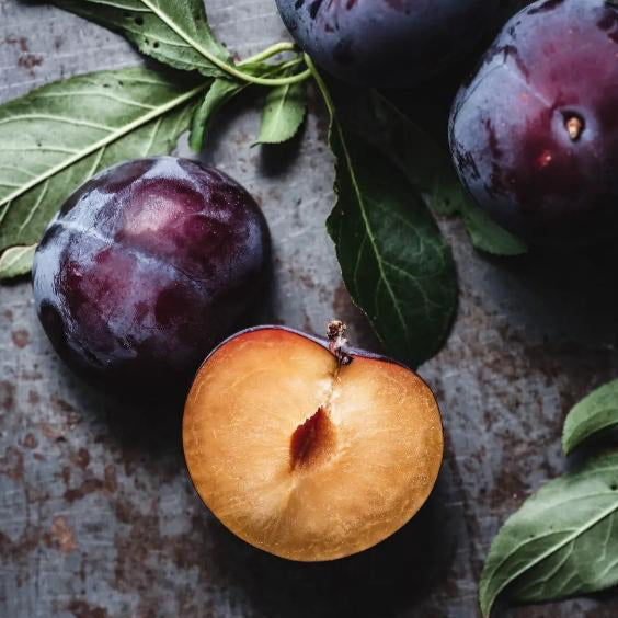 close up of the top note ingredient, plum which is used in the scented candle AMOR 