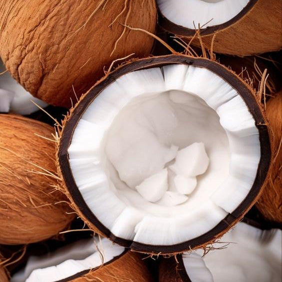 close up of the TOP notes ingredient, COCONUT which is used in the scented candle BEACH