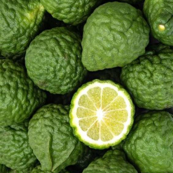 close up of the TOP notes ingredient, BERGAMOT which is used in the scented candle BEDSHEETS