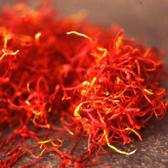 close up of the middle notes ingredient, saffron which is used in the scented candle SAFFRON