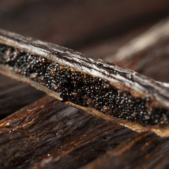 close up of the top note ingredient, vanilla which is used in the scented candle VANILLE CANDLE