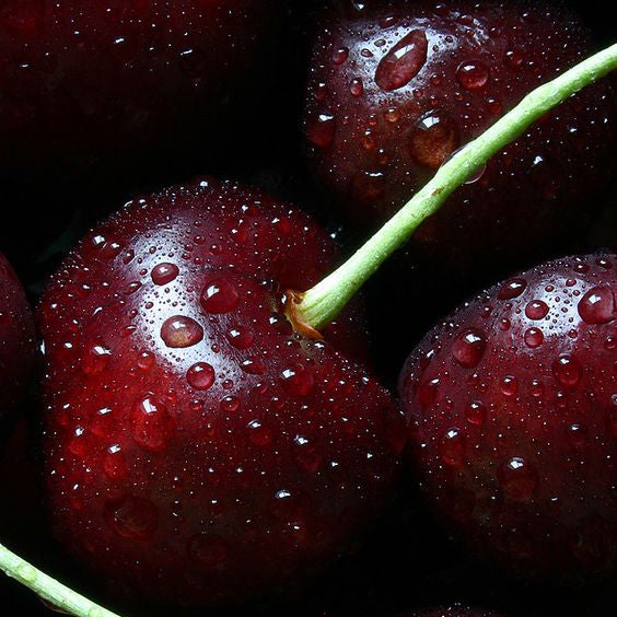 close up of the top notes ingredient, cherry, which is used in the scented candle LOBBY candle